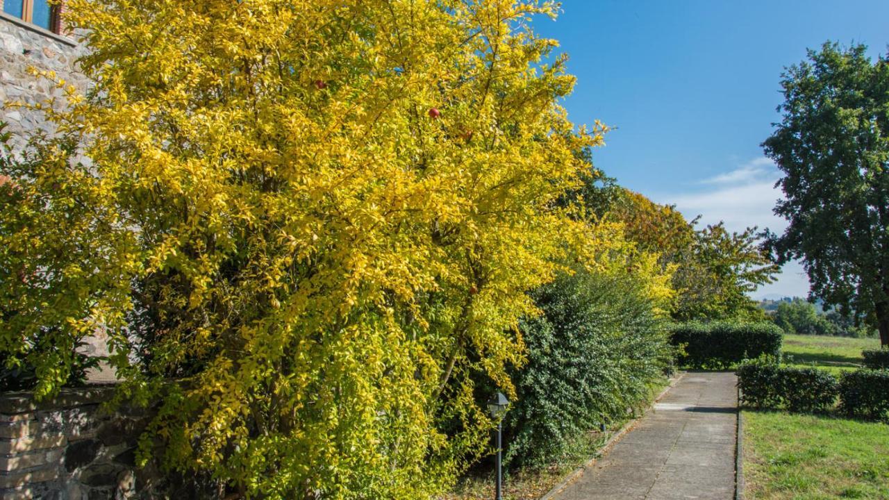 Villa Monteporzano 오르비에토 객실 사진